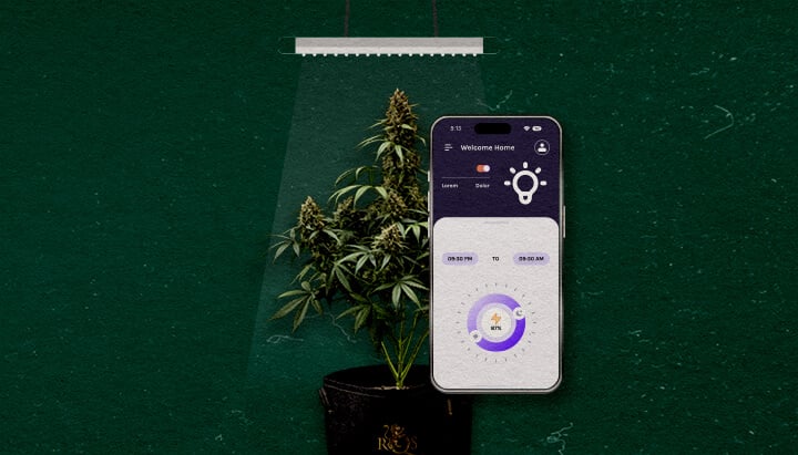 An illustration of a cannabis plant under a grow light with a smartphone displaying a control app, set against a green background, highlighting advanced features worth considering.