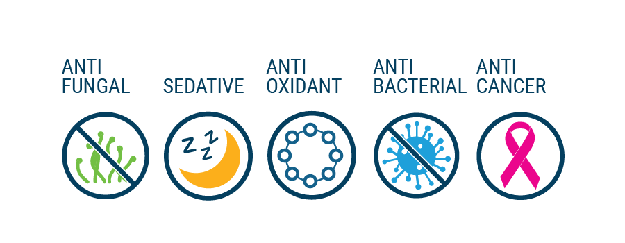 benefits terpene terpinolene