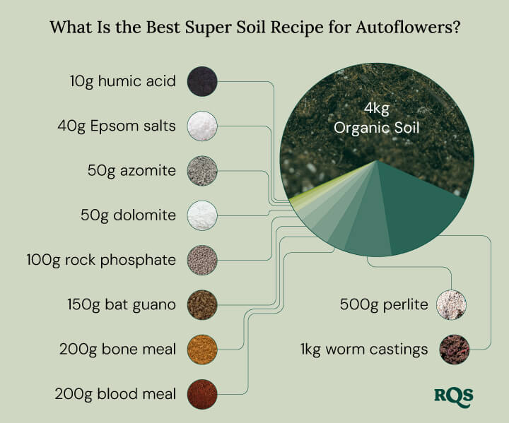 Autoflowering cannabis recipe