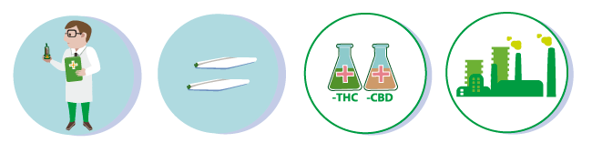 Australia and medical cannabis