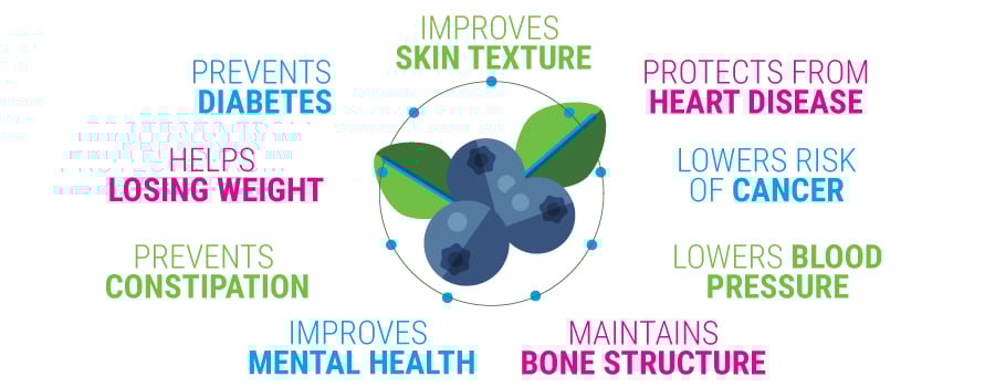 Blueberry Benefits