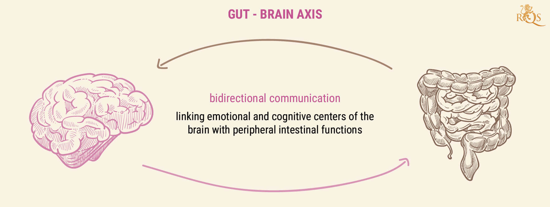 Why Is Gut Health Important? Why Is Gut Health Important?