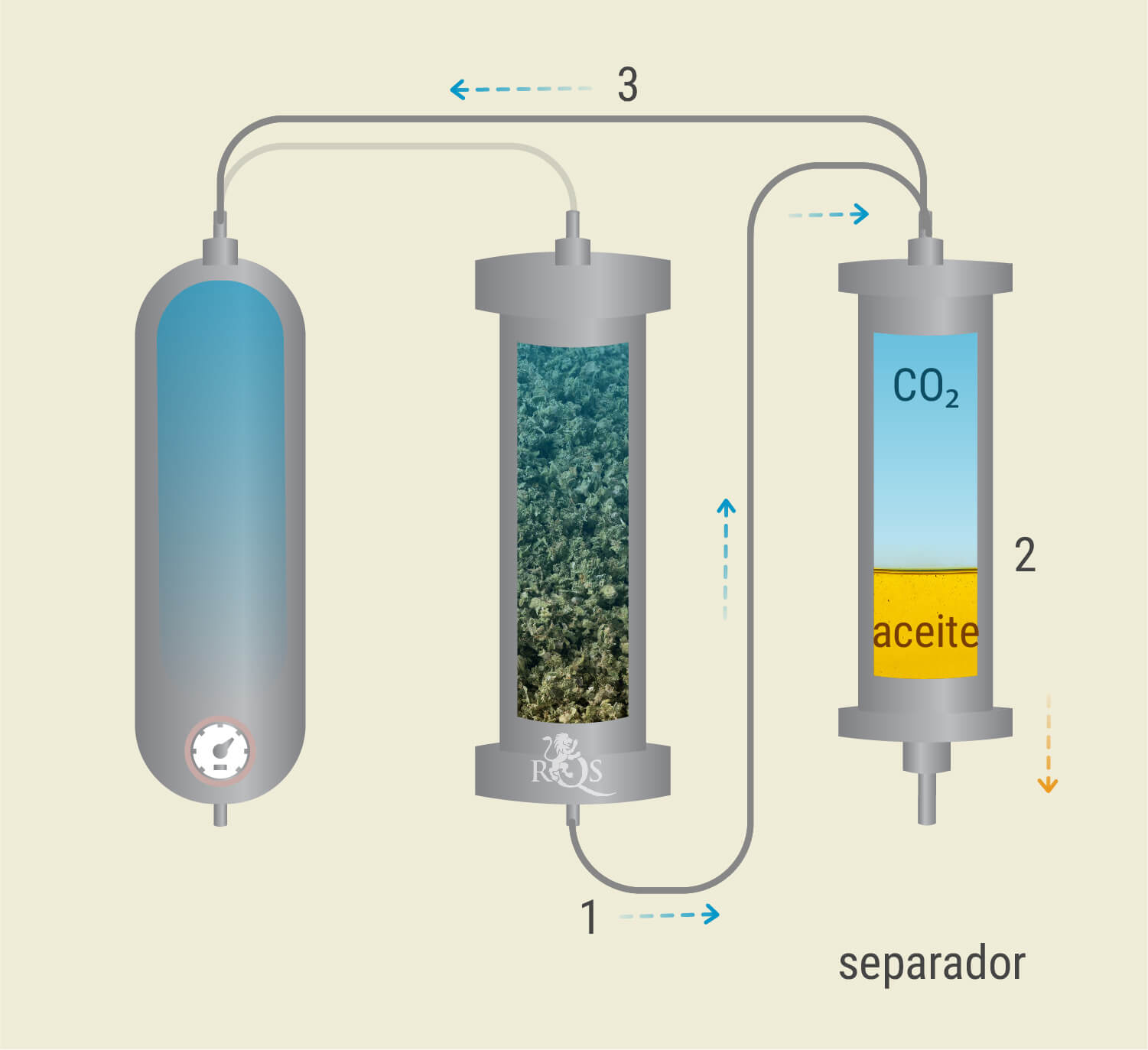 CO₂ Extraction: Step-by-Step Process