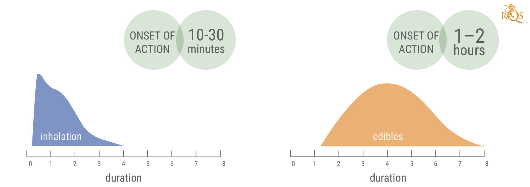 How Long Does a Cannabis High Last? How Long Does a Cannabis High Last?