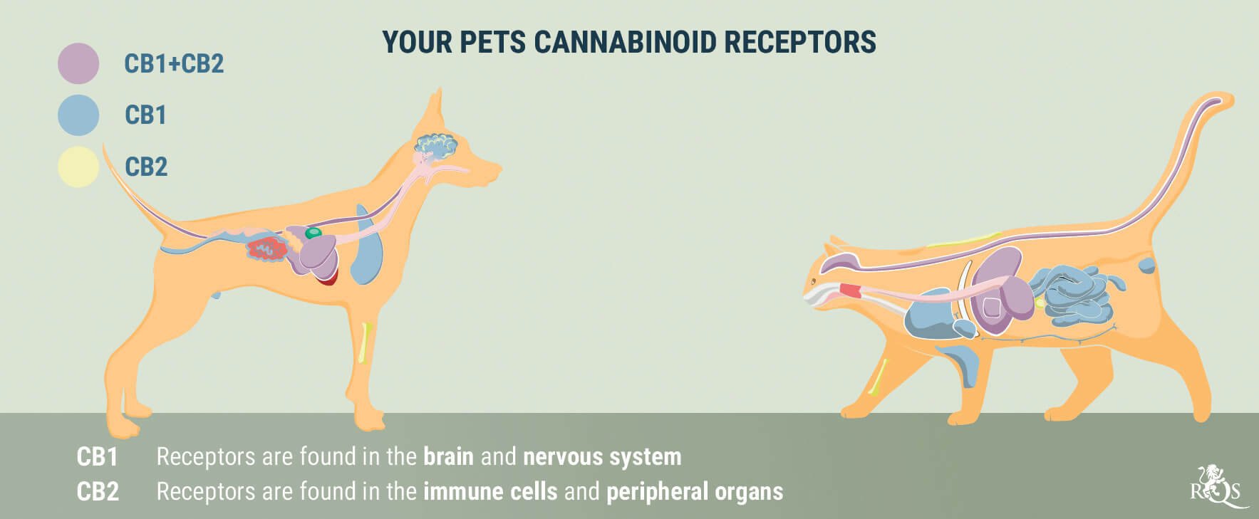 Medical Cannabis for Dogs and Cats