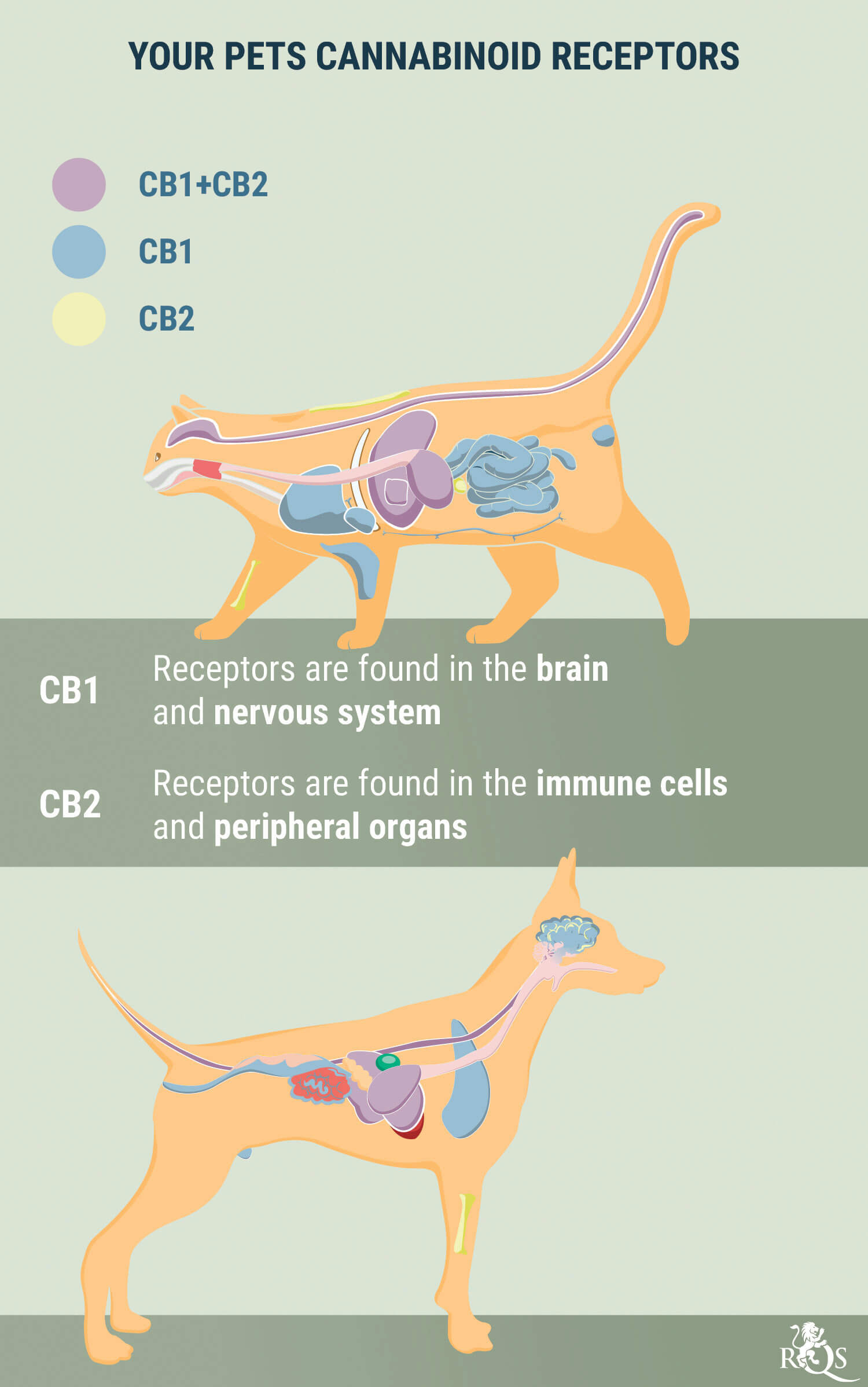 Receptors on your Pets