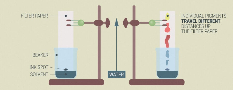 Chromatography For Testing Cannabis