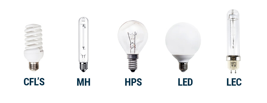 Types of Lights For Growing Cannabis