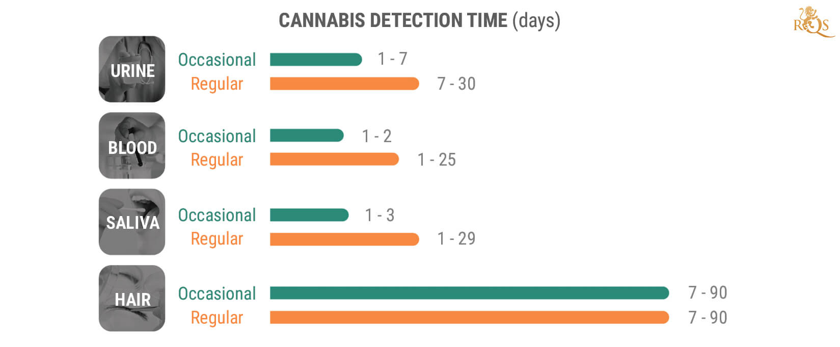 How Long Does THC Stay in Your System?