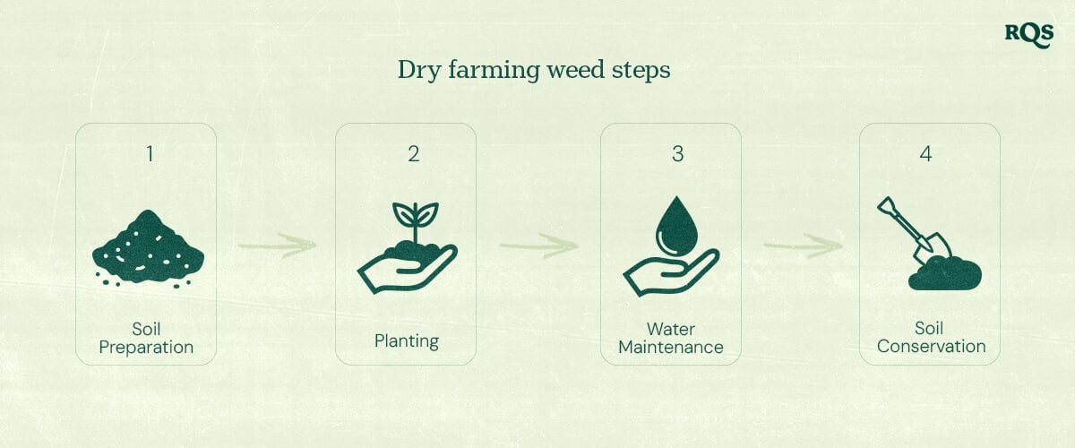 Essential Steps of Dry Farming Infographic illustrating the four key steps of dry farming: soil preparation, planting, water maintenance, and soil conservation.