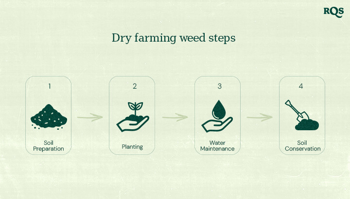 Essential Steps of Dry Farming Infographic illustrating the four key steps of dry farming: soil preparation, planting, water maintenance, and soil conservation.