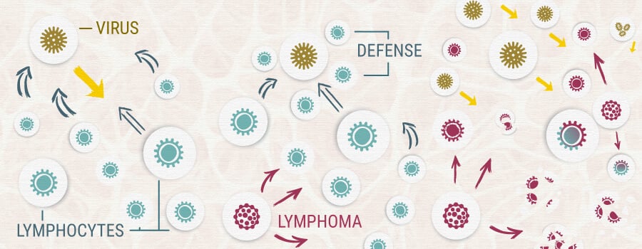 How Lymphoma Affects Cells 