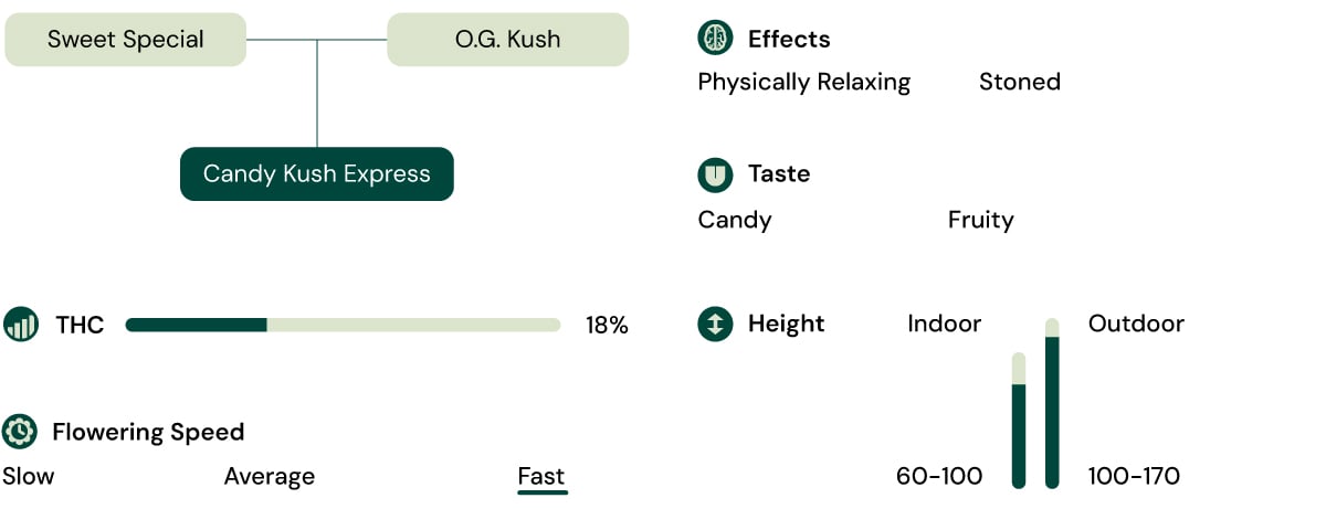 Candy Kush Express Strain Characteristics