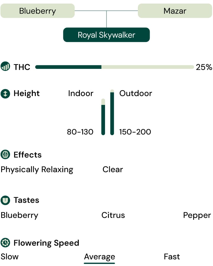 Royal Skywalker Strain Characteristics