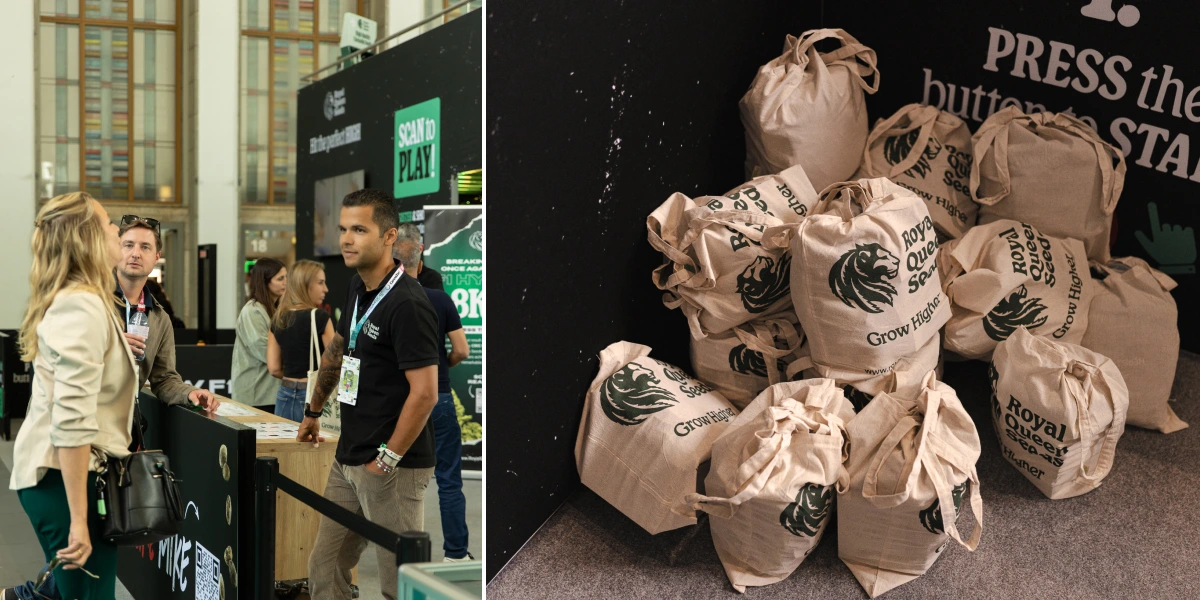 Explore the Royal Queen Seeds booth with interactive games, branded gift bags, and TYSON 2.0 event highlights.