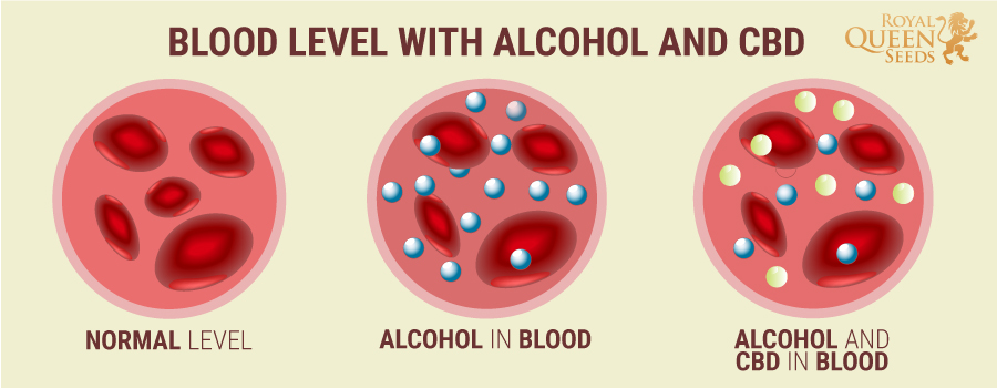 Blood Level CBD