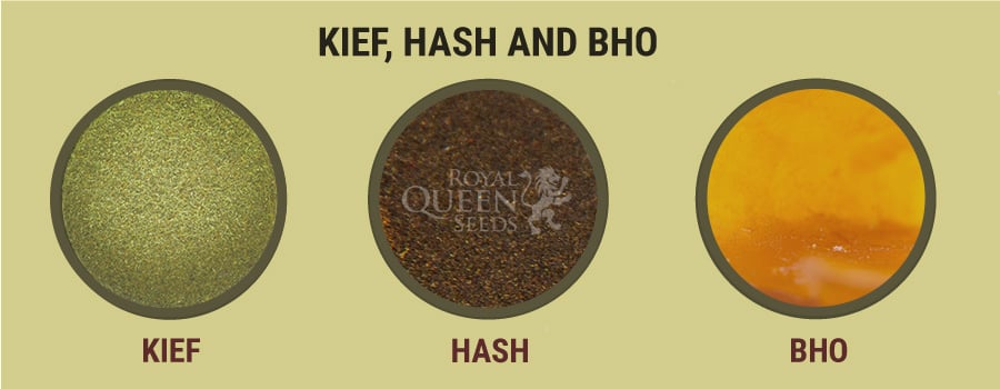 Kief, Hash and BHO
