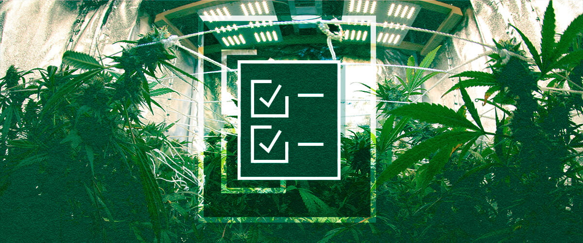 Grow Tent Equipment Checklist: Lights, Ventilation, Timers & Power Beginner's grow tent equipment checklist: Ensure success with essential lighting, ventilation systems, timers and controllers, plus power management for your indoor garden.