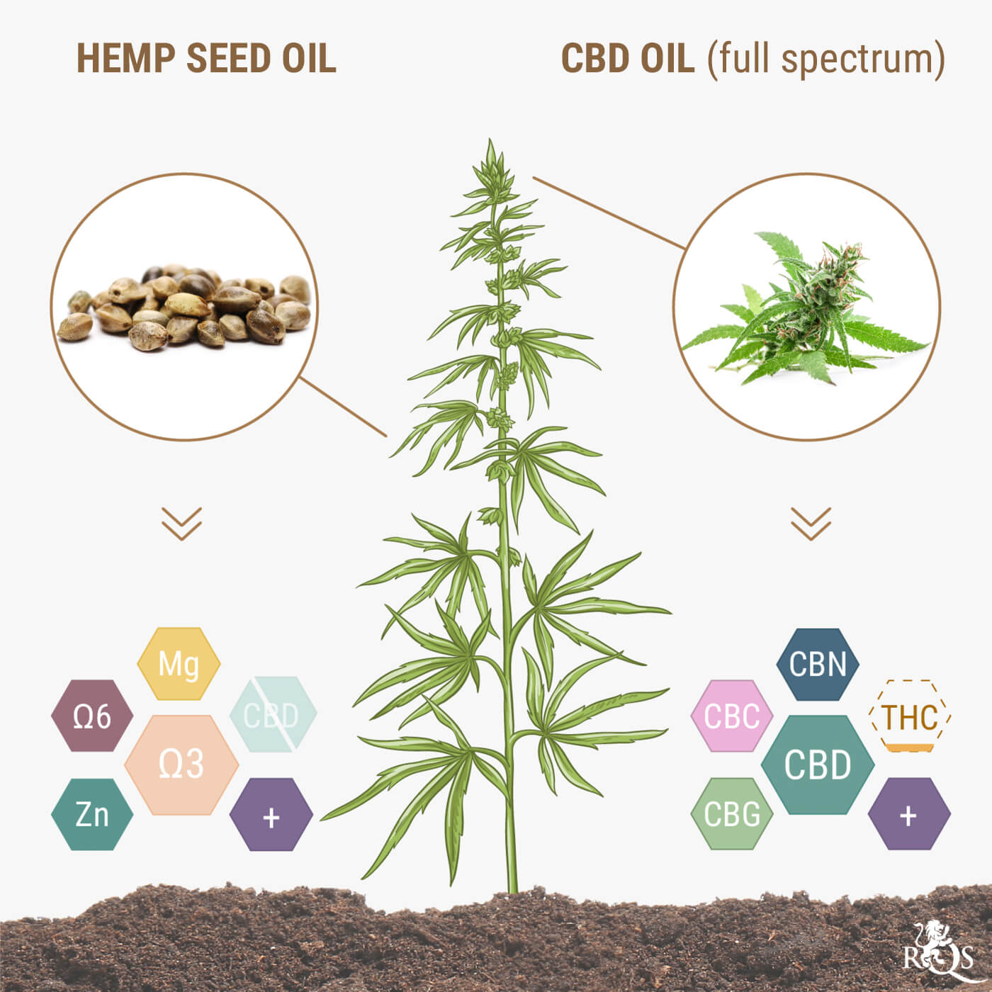 Do Hemp Seeds/Hemp Seed Oil Contain CBD?