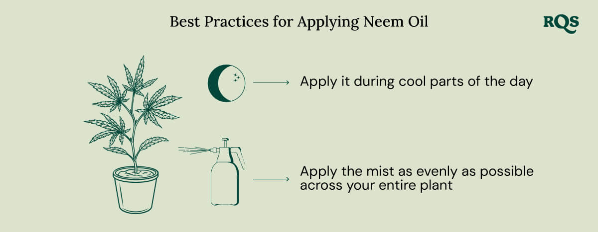 How to apply neem oil