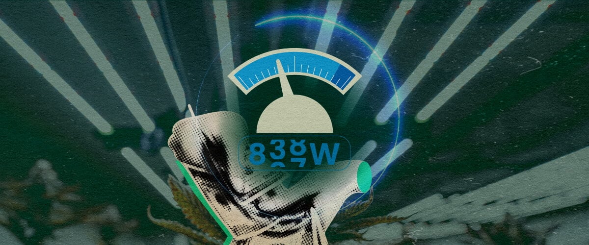 Futuristic gauge with cannabis leaves, showing LED grow lights electricity usage (100W-800W) for seedlings to flowering on a dark green background, ideal for cannabis growing guides.