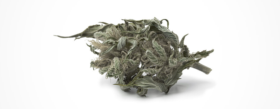 Cannabis Discoloration