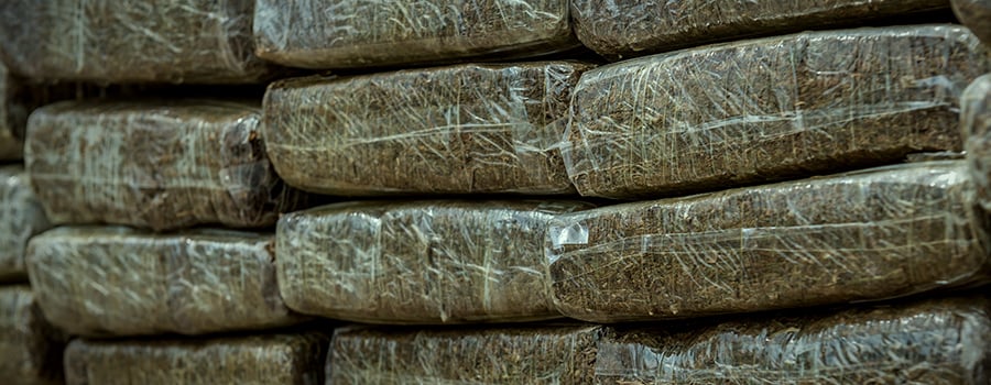 cannabis packets. Worldwide legalisation
