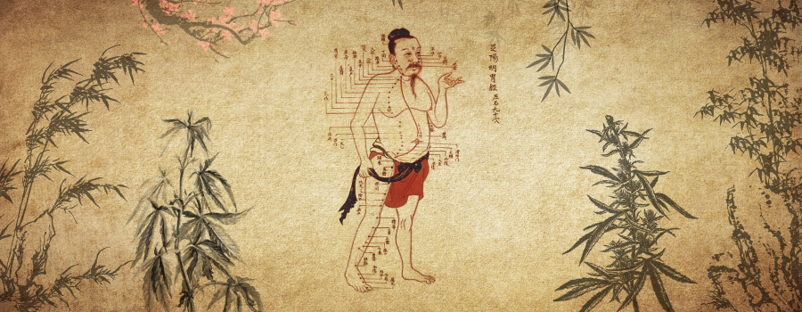 Cannabis In Traditional Chinese Medicine Acupuncture