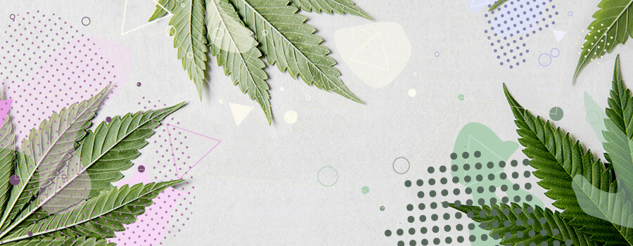 Terpenes Compostion