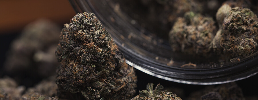 Jar of Cannabis To Store it