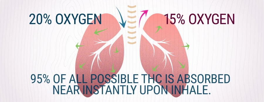 Lungs Inhaling Smoke Of Cannabis Explanation