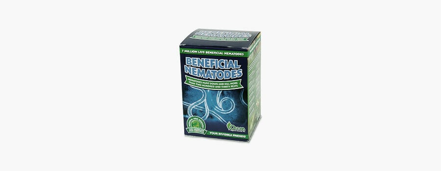 Introducing Beneficial Nematodes