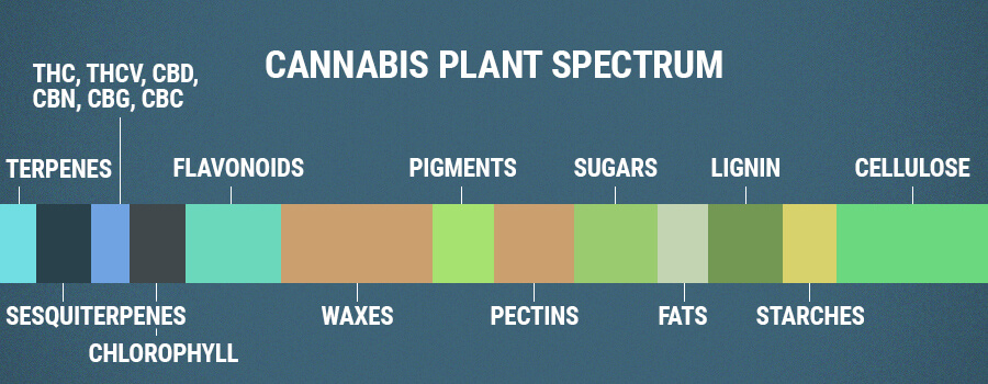 Cannabis Plant Spectrum Flavonoids
