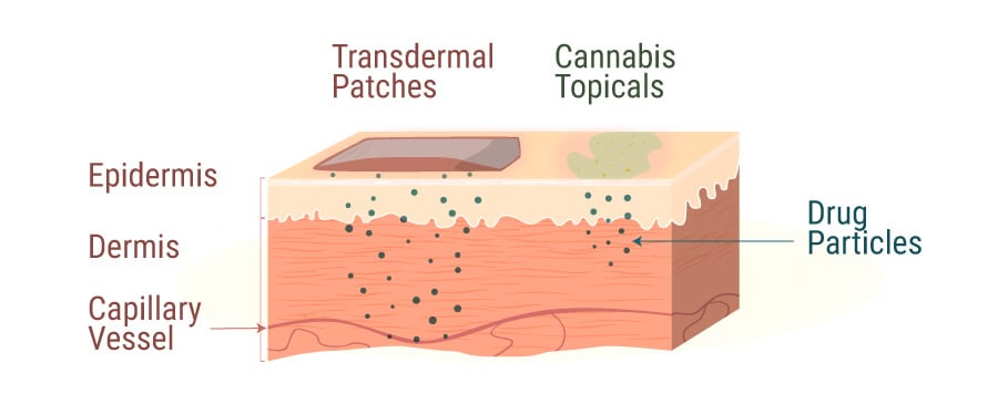Cannabis Topicals 