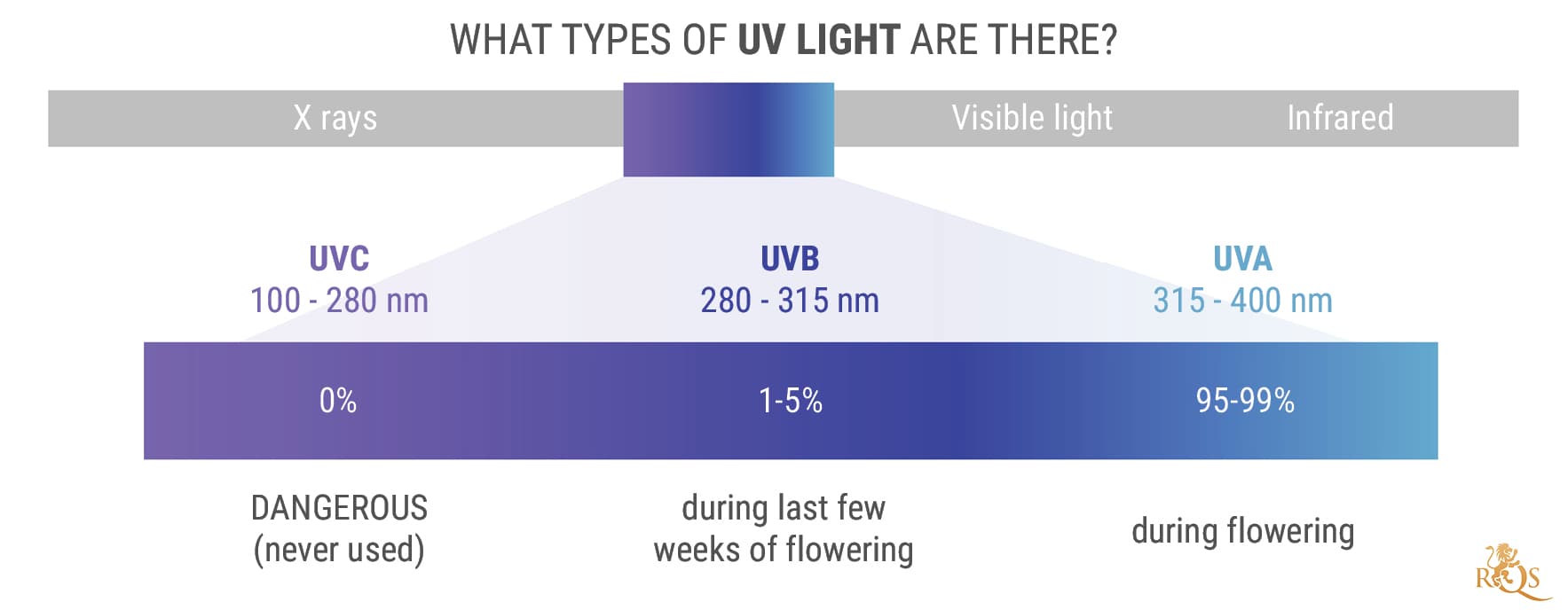 What Types of UV Light Are There? What Types of UV Light Are There?