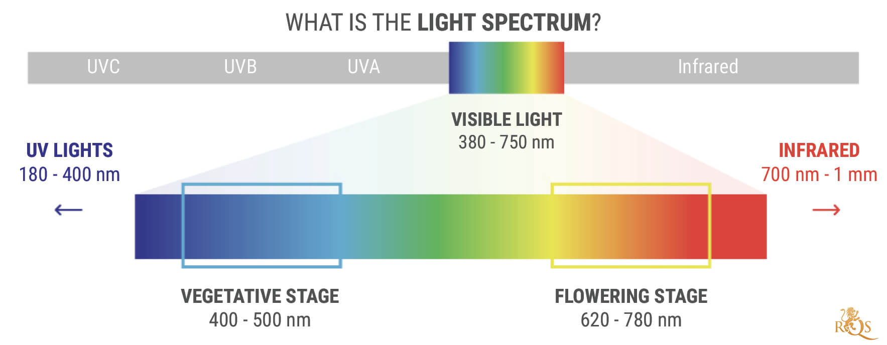 What Is The Light Spectrum? What Is The Light Spectrum?
