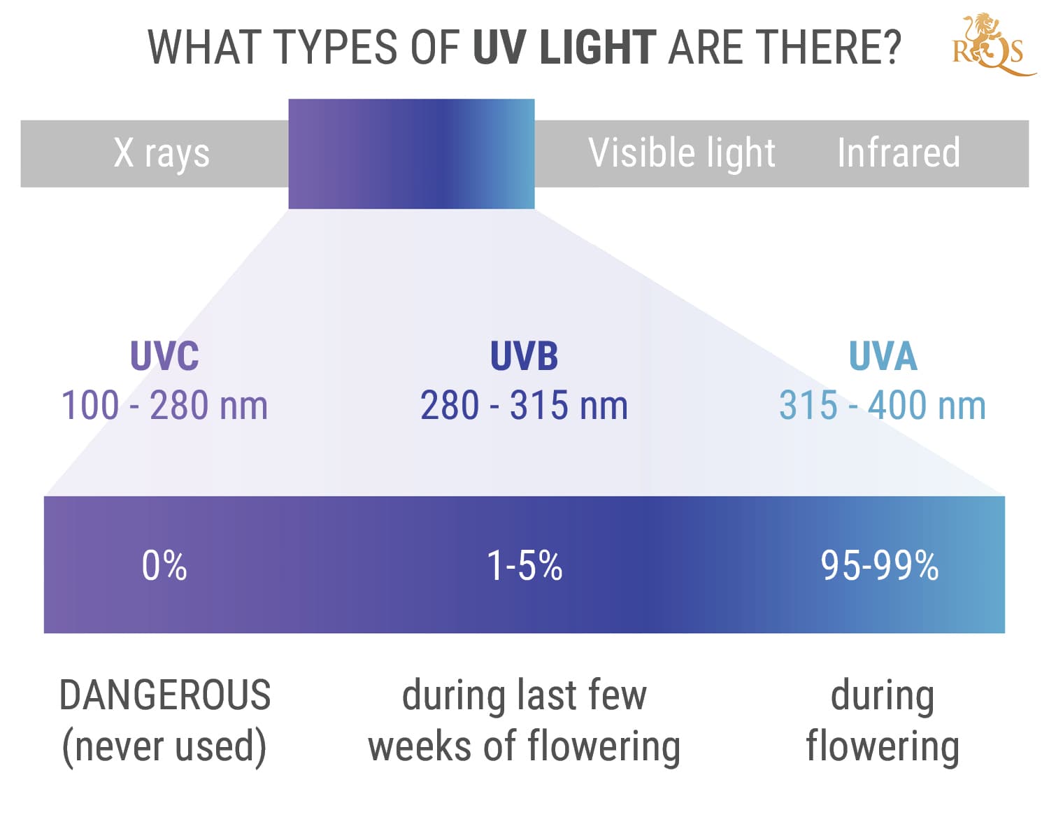 What Types of UV Light Are There? What Types of UV Light Are There?