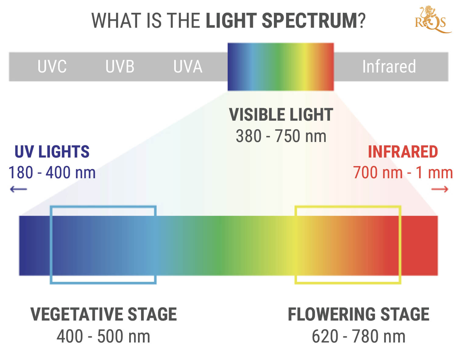 What Is The Light Spectrum? What Is The Light Spectrum?