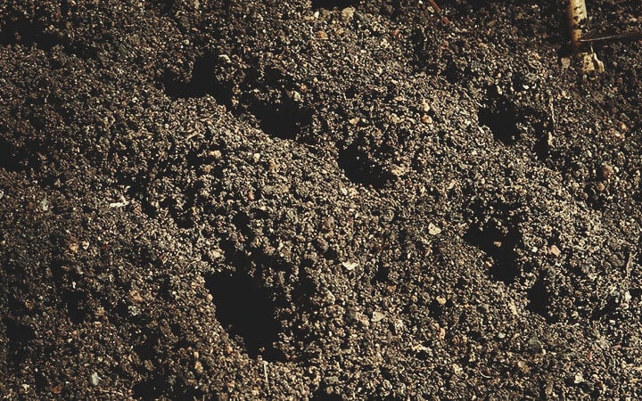 Dirt Mounds