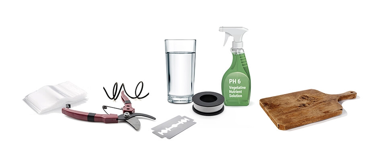 Cannabis grafting equipment with pruning scissors, grafting blade, film, water, pH 6 nutrient solution, and a wooden board.