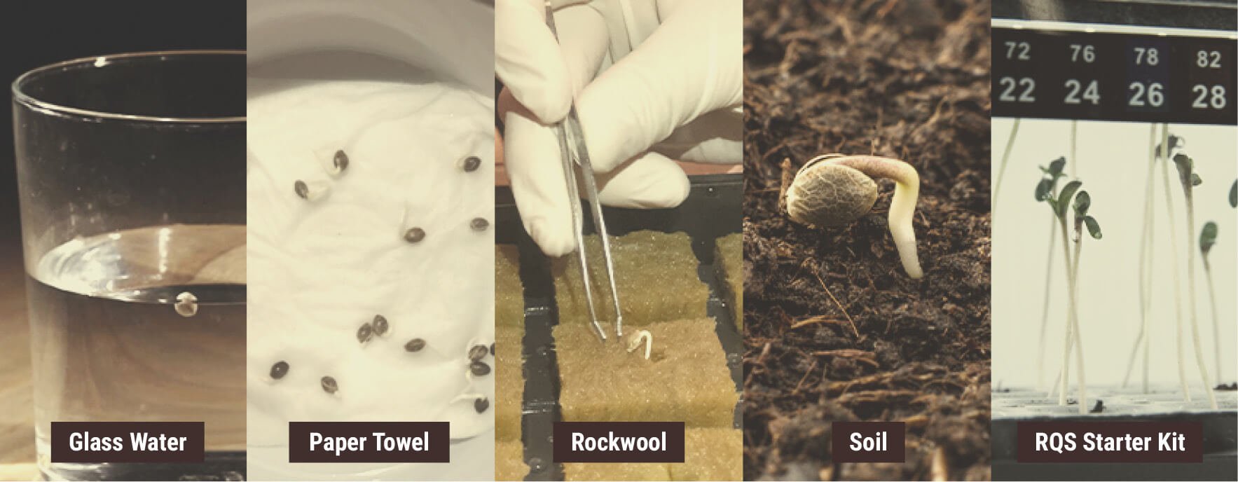 GERMINATION METHODS