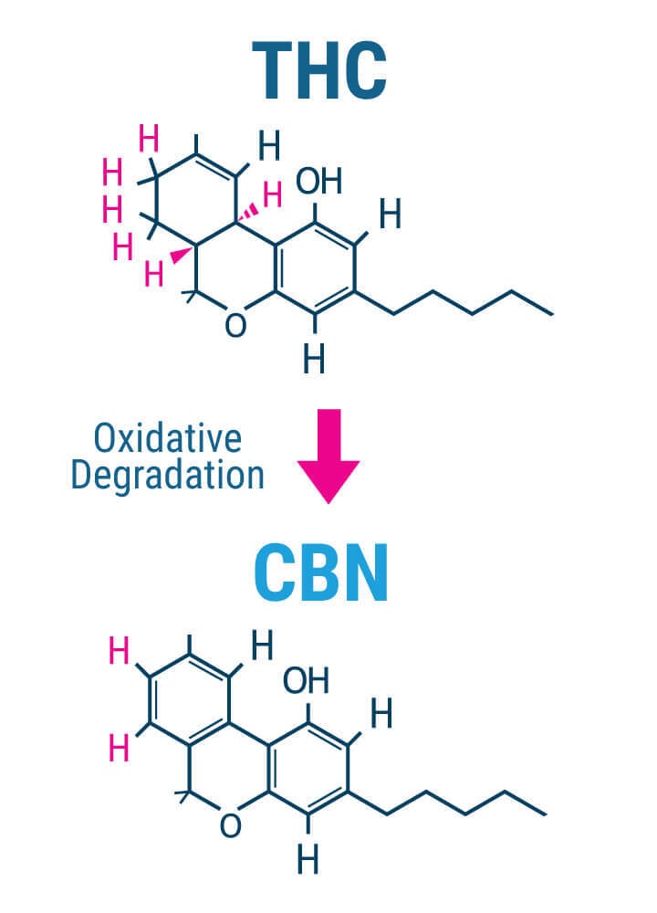 Are The Sedative Effects Of CBN Real? Are The Sedative Effects Of CBN Real?