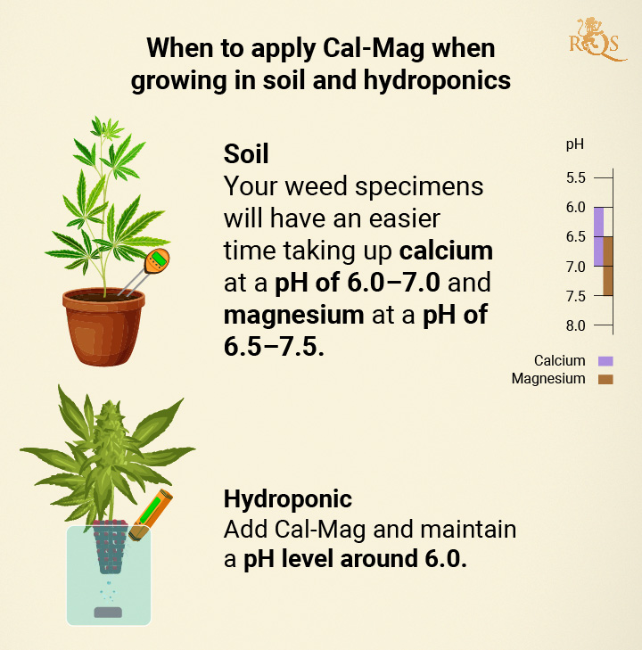 When to apply Cal-Mag When to apply Cal-Mag
