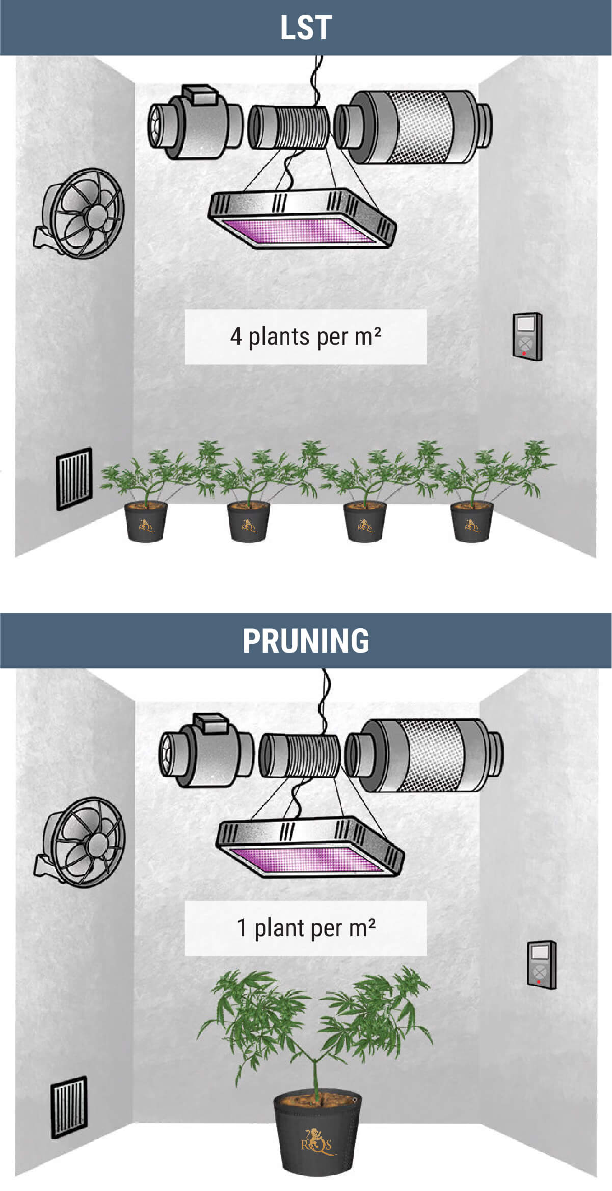 How Many Cannabis Plants Can You Grow Per Square Metre?