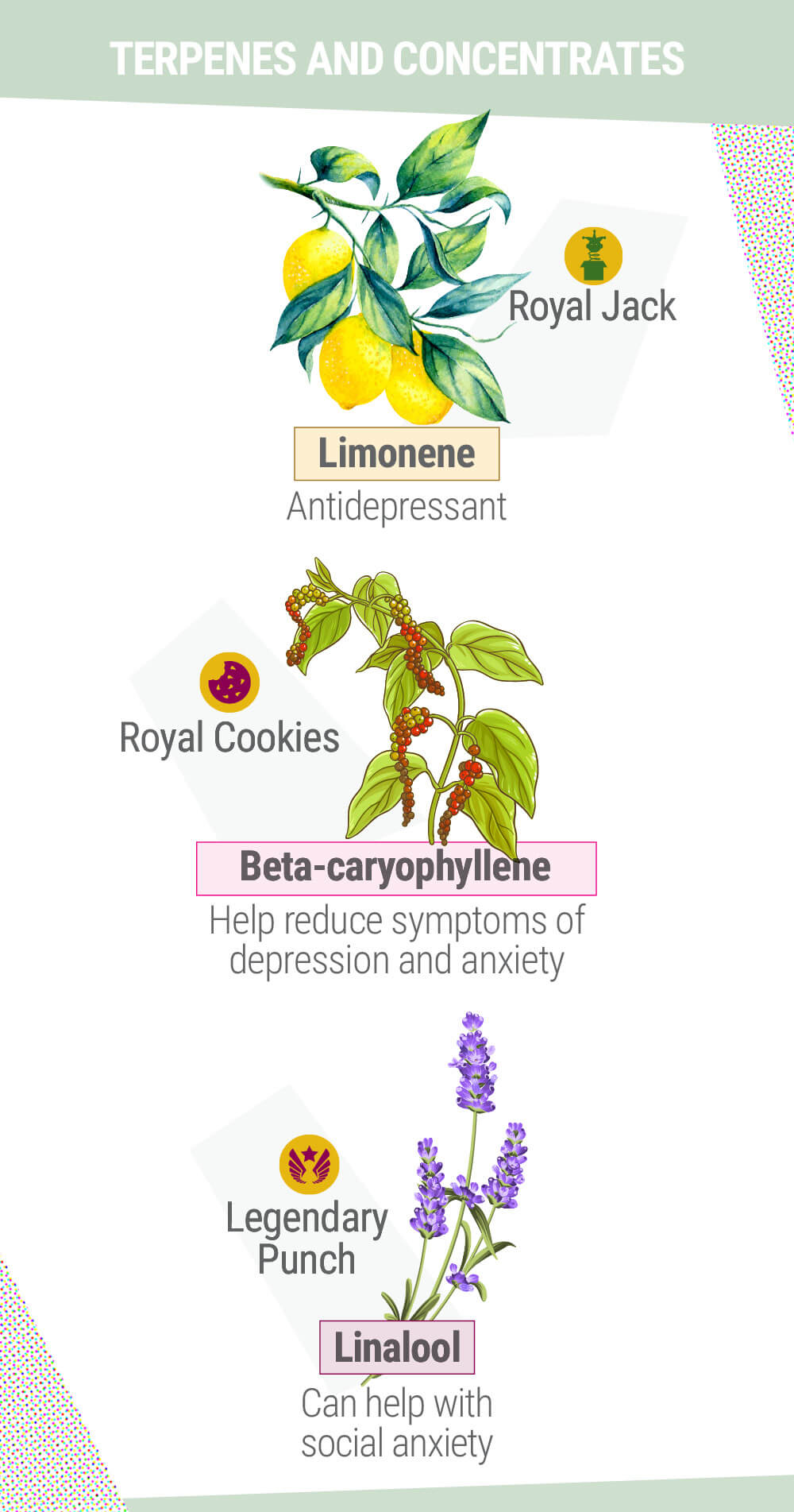 Limonene, Beta i Linalool