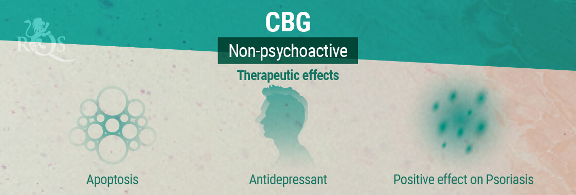 CBG Therapeutic Effects