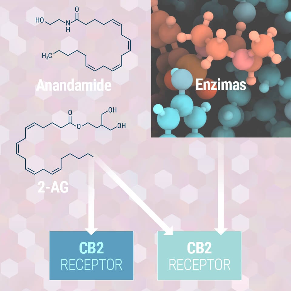 Cannabis as medicine