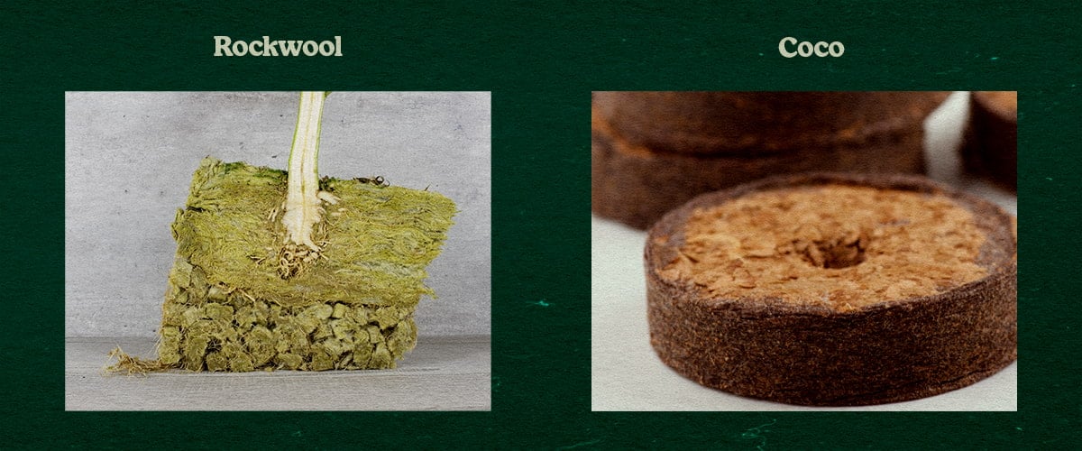 Comparison of Rockwool and Coco substrates, showing a plant rooted in green Rockwool and a circular Coco disc, tested for growth.