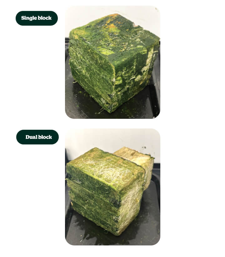 Rockwool substrate blocks used in cannabis cultivation trials, comparing single block and dual block root-zone configurations