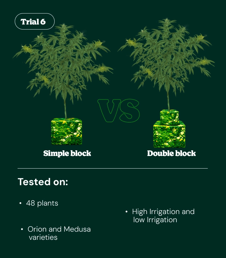 Introduction to Trial 6 comparing simple block vs double block irrigation systems tested on cannabis plants under different irrigation levels